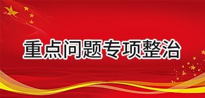 重點問題專項整治